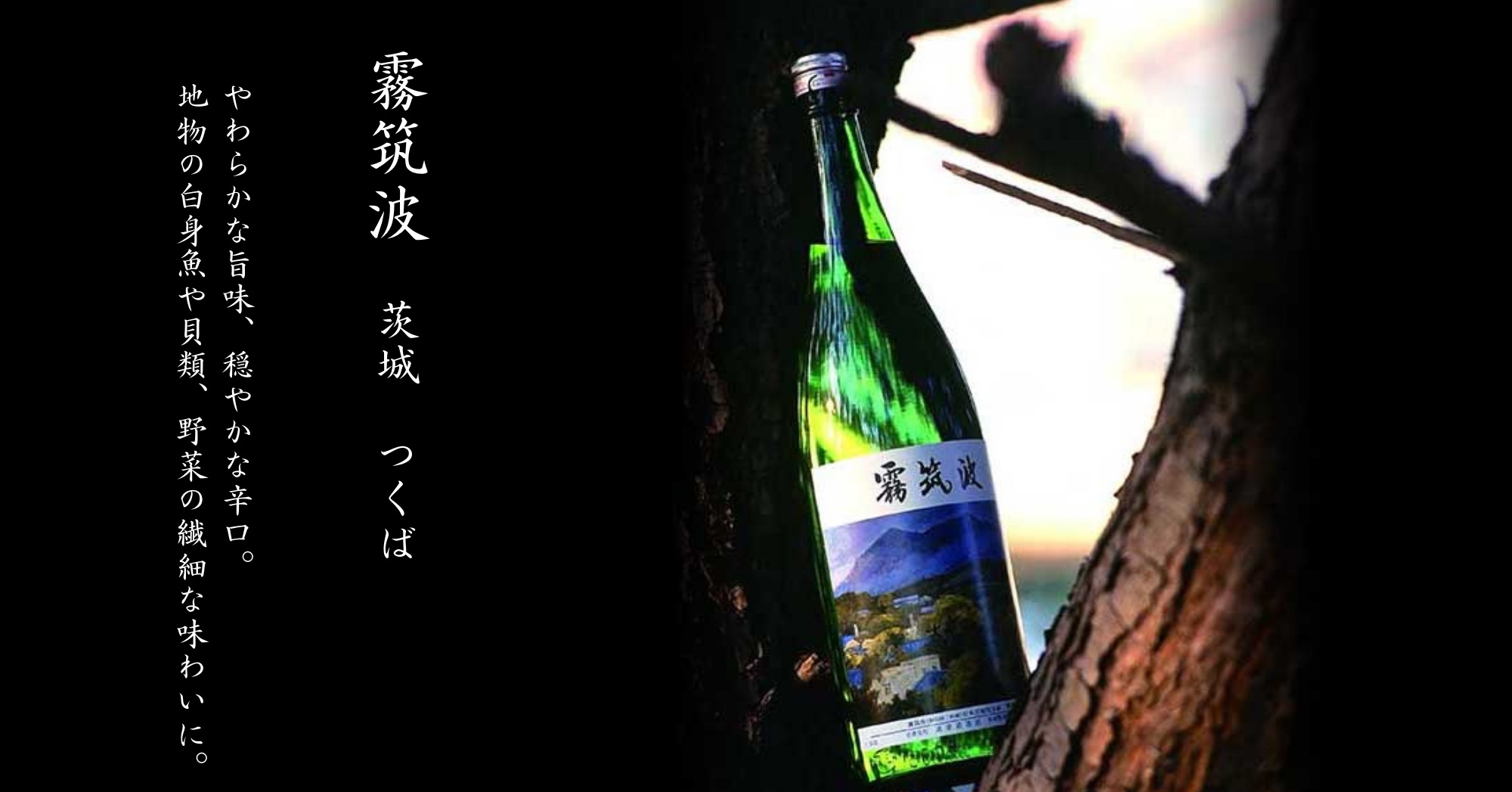霧筑波